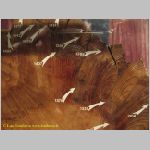 20060823_Sequoia_019 copia.jpg